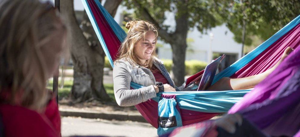 A student studying outside on a hammock