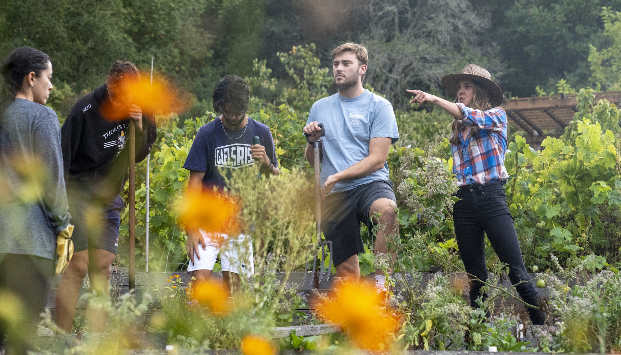 Four students and Sustainability Director Ann Drevno in the Legacy Garden in 2022