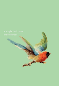 A Single Hurt Color book cover