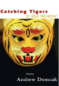 Catching Tigers in Red Weather book cover