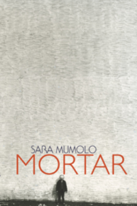 Mortar book cover