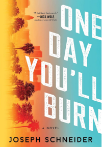 One Day You'll Burn book cover