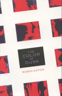 The Color of Dusk book cover