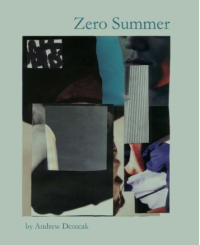 Zero Summer book cover