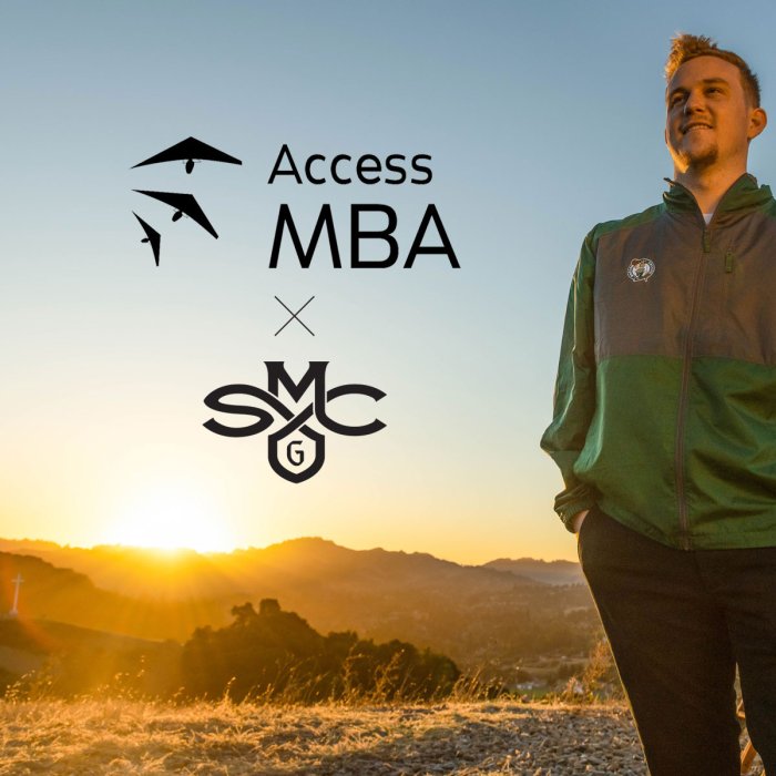 seba access mba