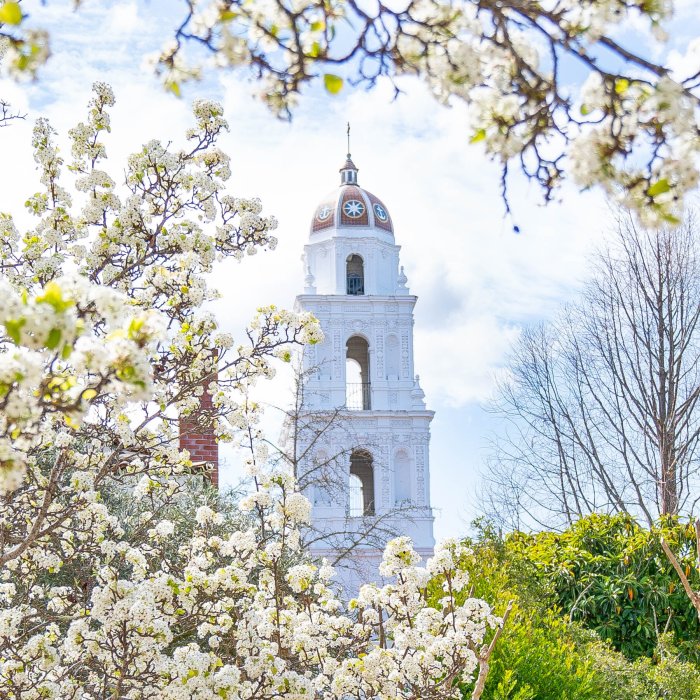 Saint Mary's Campus during Spring