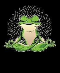 Image of a frog meditating