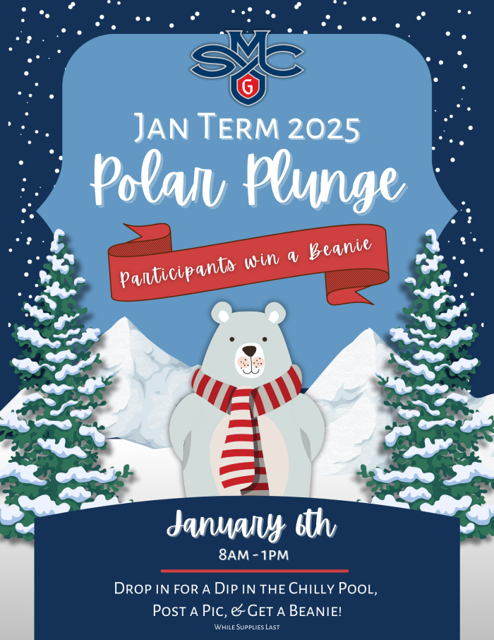 Polar Plunge