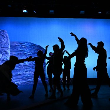 Promo shot of the cast of "The Excavation of Mary Anning" in silhouette