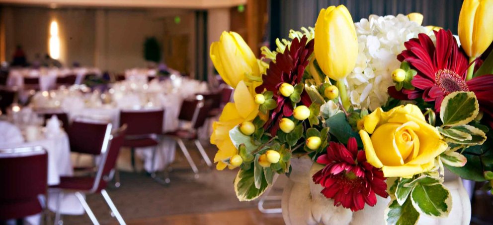 A vase of flowers in front of dining chairs