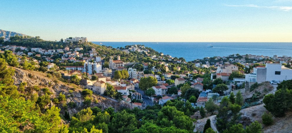 Hillside of trees and homes, sea in the distance