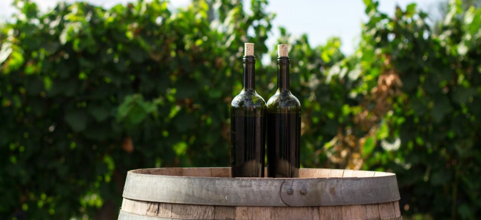 Wine bottles on a barrel in a vineyard