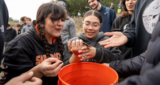 Students in a Jan Term class looking at a Newt