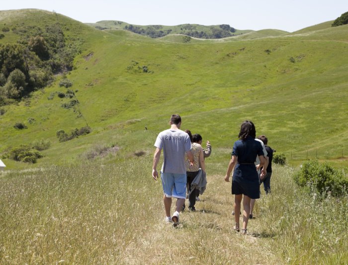 People taking a walk in green hills