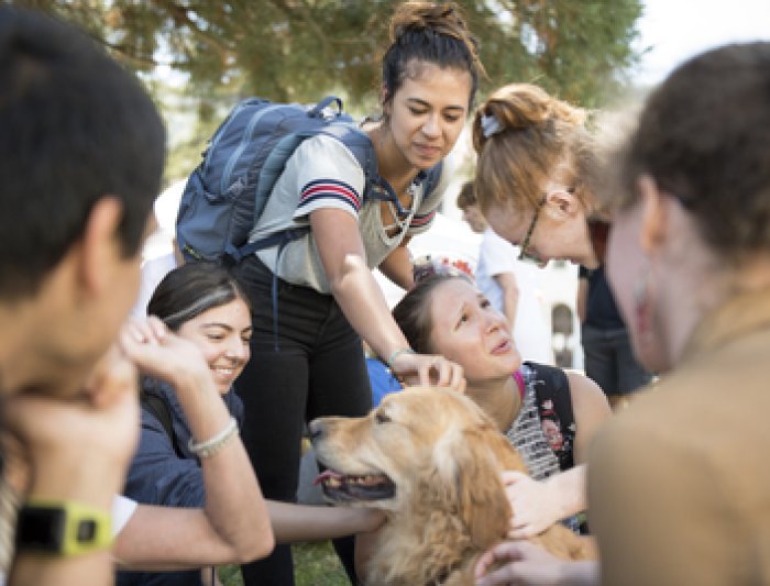 student pets dogs in crowd