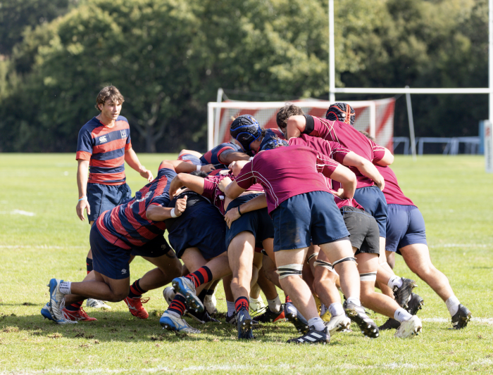 mens rugby