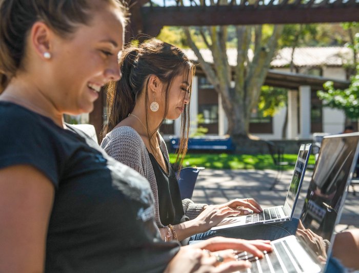 Students looking at their laptops